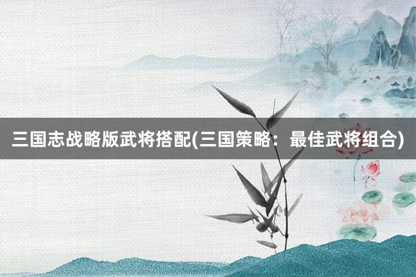 三国志战略版武将搭配(三国策略：最佳武将组合)